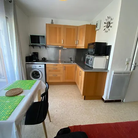 Cosy Proche Thermes A Balaruc-les-bains, Animaux Admis - Fr-1-503-92 Apartment