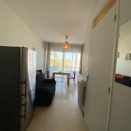 Apartment Cosy Proche Thermes A Balaruc-les-bains, Animaux Admis - Fr-1-503-92