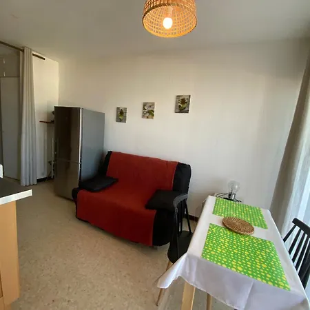 Cosy Proche Thermes A Balaruc-les-bains, Animaux Admis - Fr-1-503-92 *